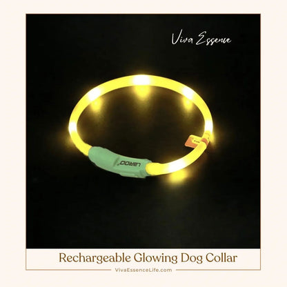 Rechargeable Glowing Dog Collar - Small- Yellow (35cm) Viva Essence