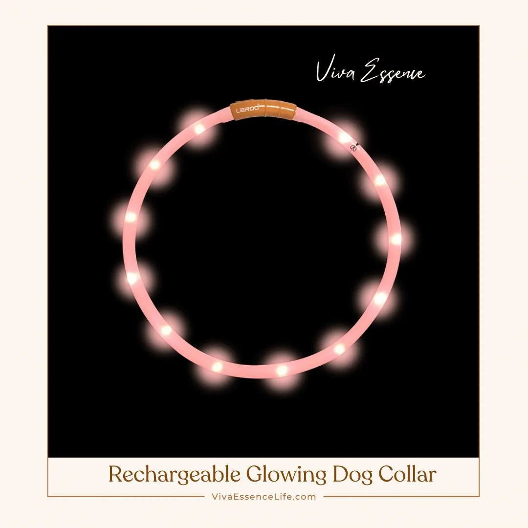 Rechargeable Glowing Dog Collar - Viva Essence