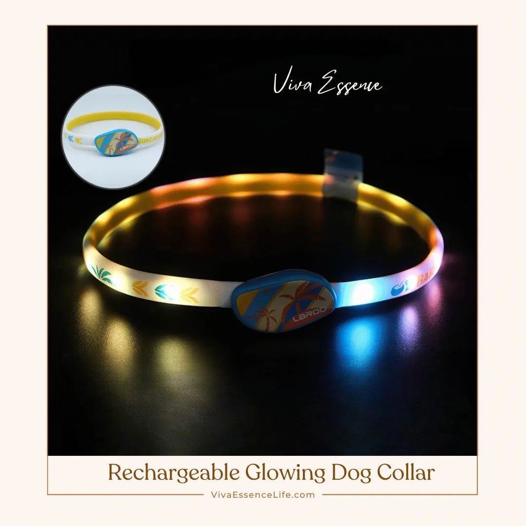 Rechargeable Glowing Dog Collar - Viva Essence