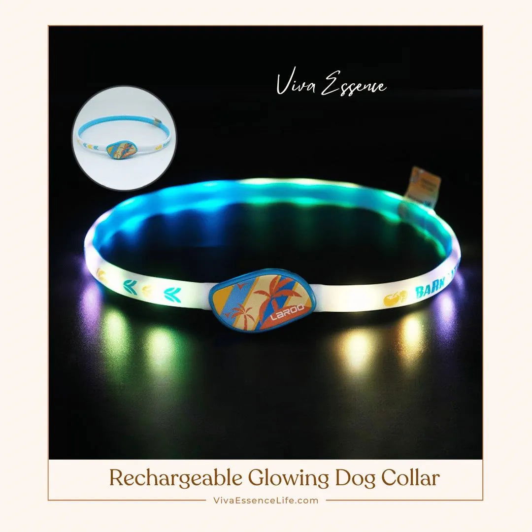 Rechargeable Glowing Dog Collar - Large-Sky Blue 65cm Viva Essence