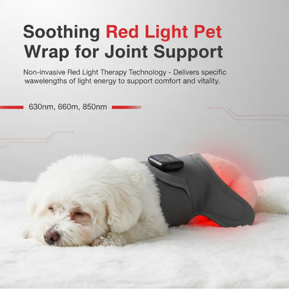 Soothing Red Light Pet Wrap for Joint Support - -Viva Essence Pet