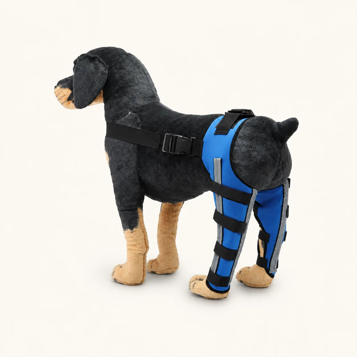 SBR beensteunbrace voor honden voor door de dierenarts begeleide herstelondersteuning - vivaessencepet