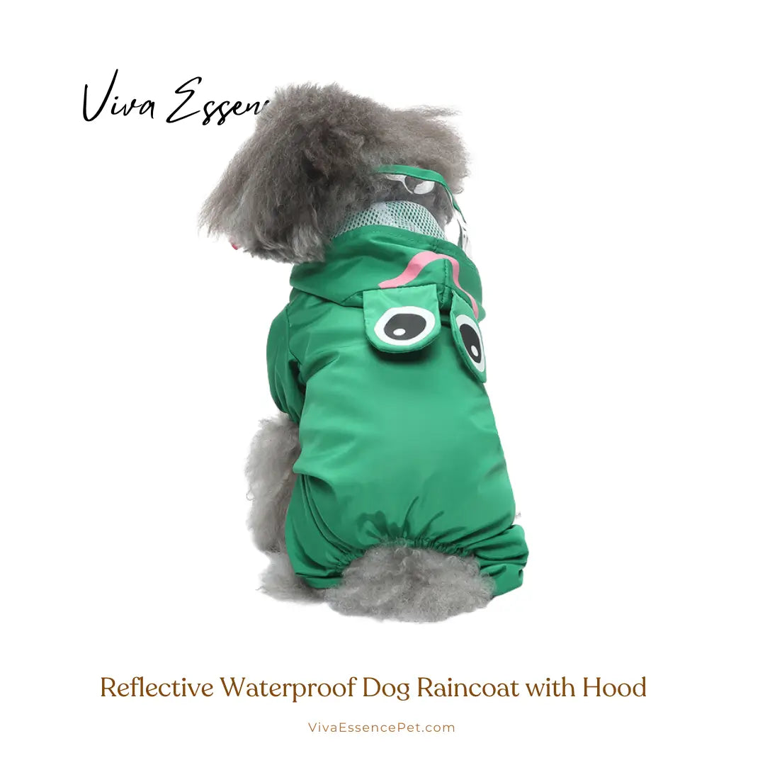 Reflective Waterproof Dog Raincoat with Hood - Green Frog Viva Essence