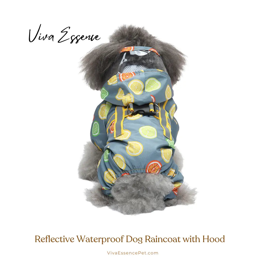 Reflective Waterproof Dog Raincoat with Hood - Fruits Viva Essence