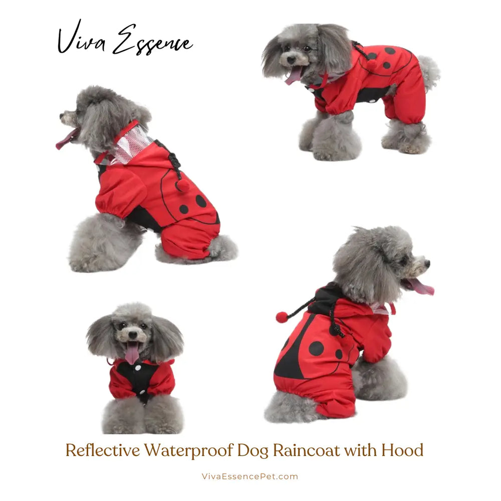 6. Poncho impermeable para perro Ladybug Luck equipado con cierres a presión seguros y una anilla en D - vivaessencepet