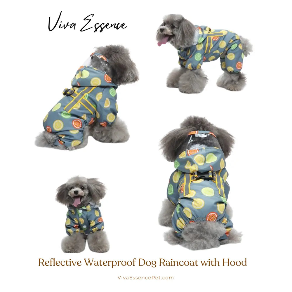 9. Chaqueta reflectante ajustable para perro que muestra la práctica anilla en D para enganchar la correa fácilmente - vivaessencepet