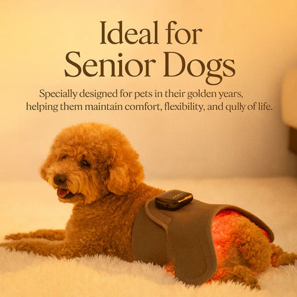 Soothing Red Light Pet Wrap for Joint Support - -Viva Essence Pet