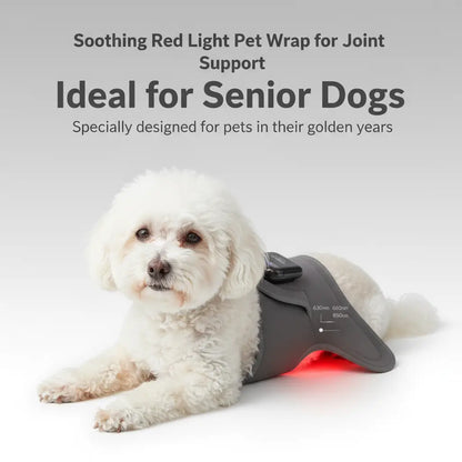 Soothing Red Light Pet Wrap for Joint Support - -Viva Essence Pet