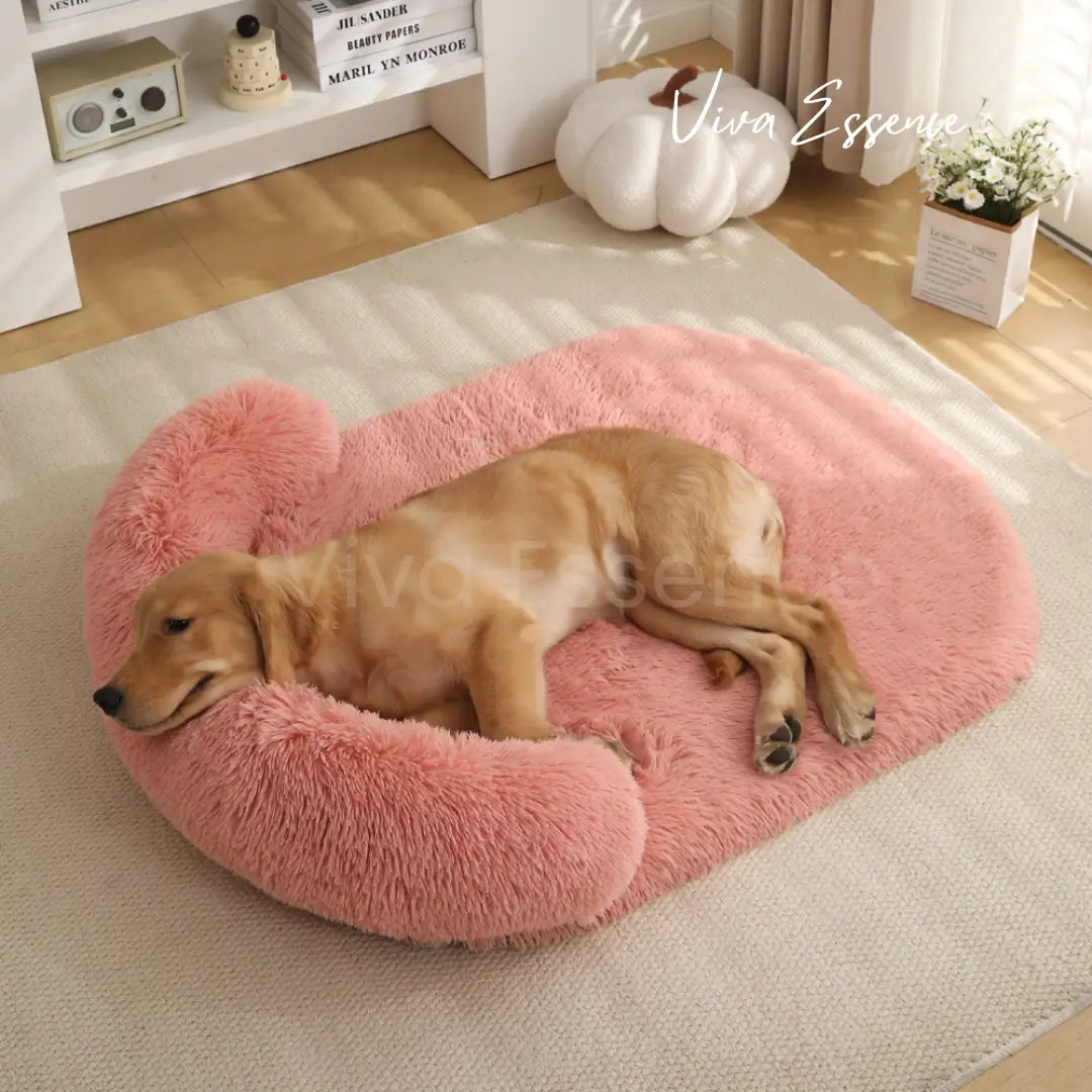 De veilige, holachtige structuur van het luxe kattenbed biedt comfort voor angstige katten - vivaessencepet