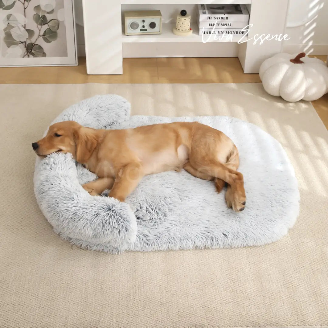 Noyau en mousse à mémoire de forme haute densité à l’intérieur du couchage orthopédique pour chiens âgés, soulageant les articulations - vivaessencepet