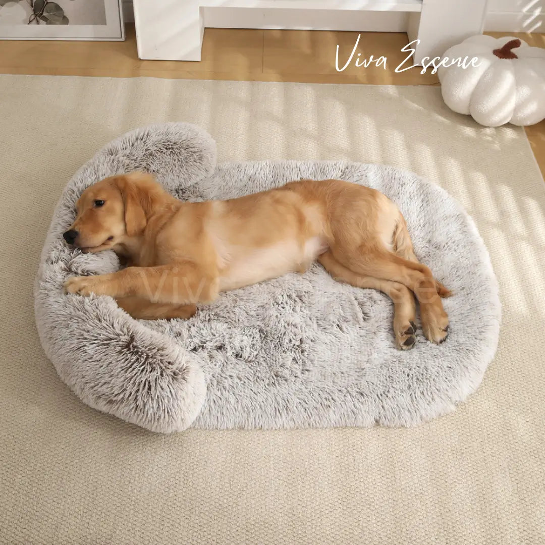Elegant minimalistisch ontwerp van het rustgevende hondenbed dat moderne leefruimtes verfraait - vivaessencepet
