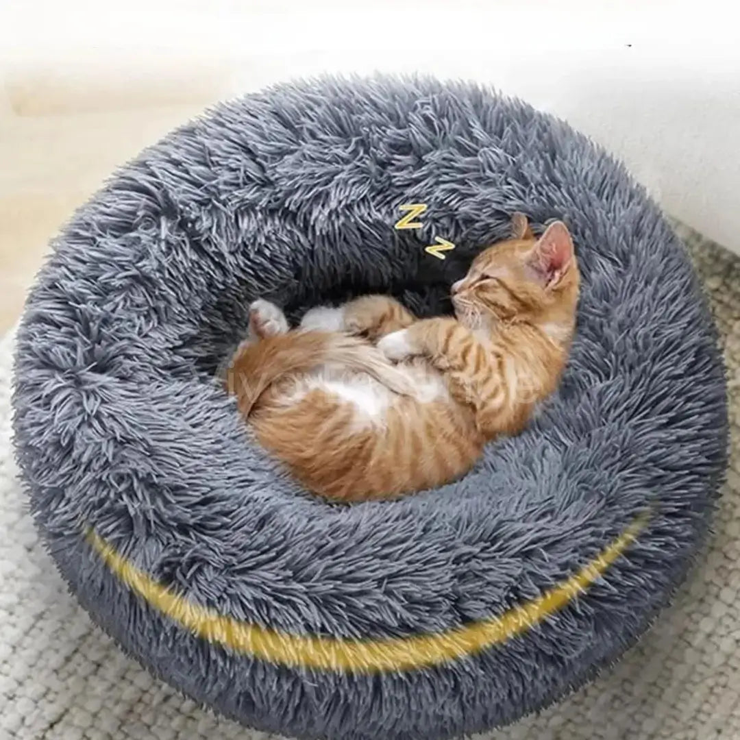 Small pet curled in a soft round calming bed for daily rest - vivaessencepet