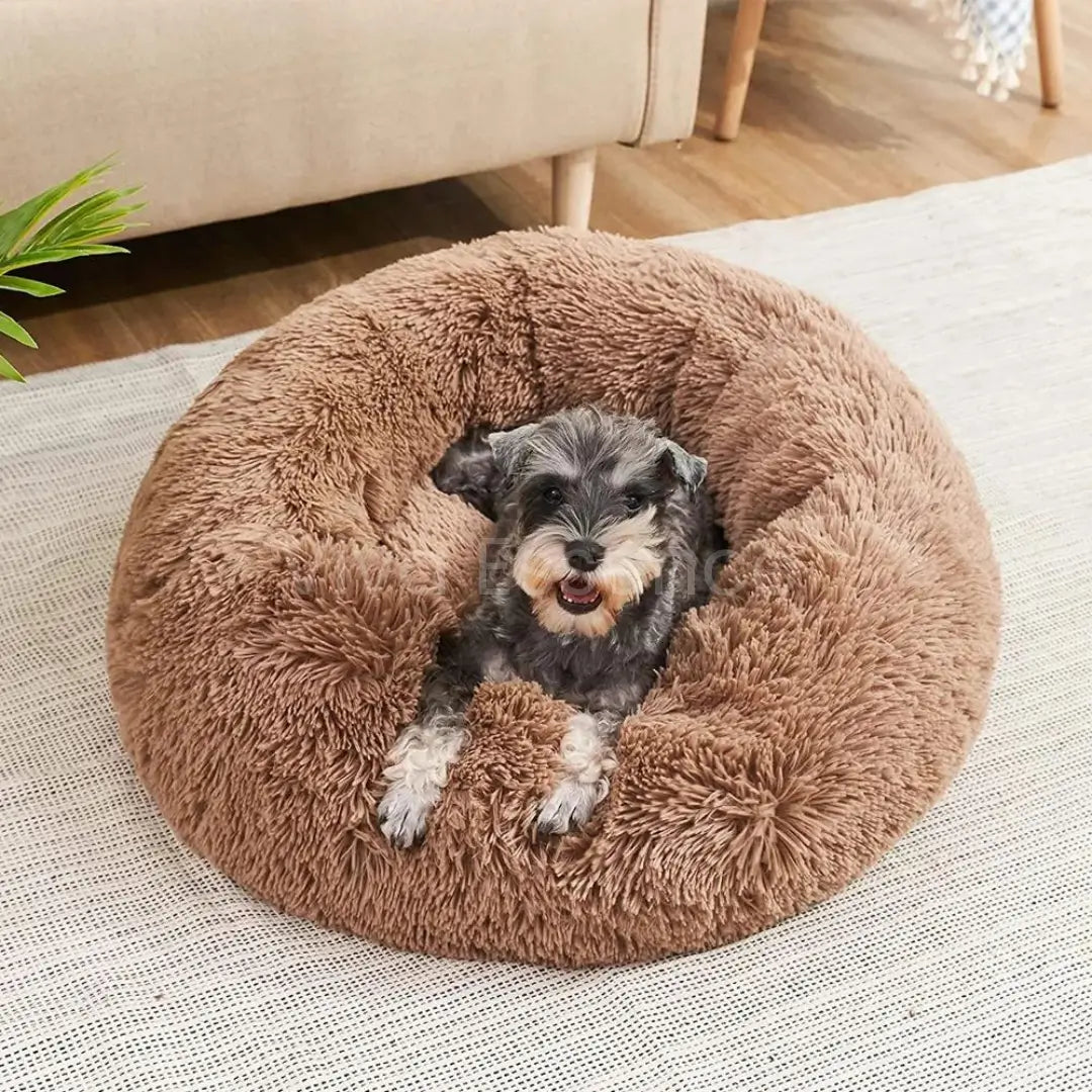 Washable plush pet bed in a home-friendly color and donut shape - vivaessencepet