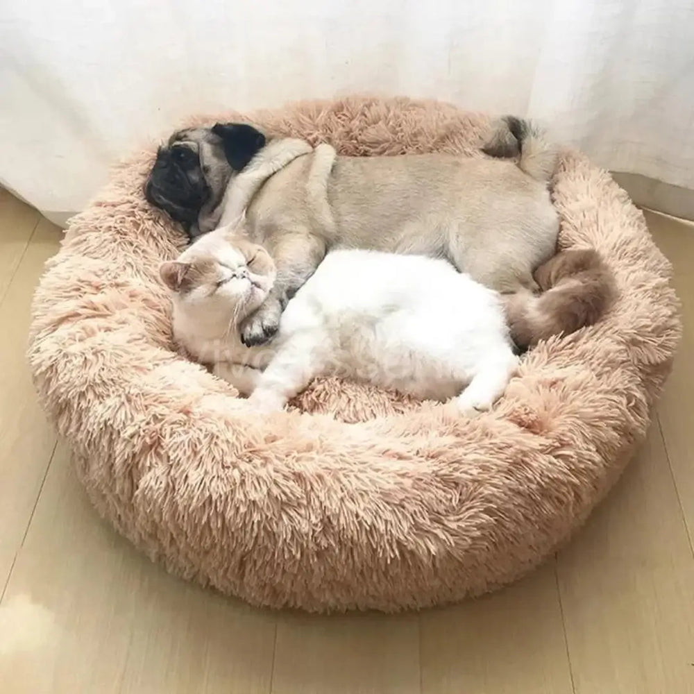 Beruhigendes Katzen- und Hundebett mit erhöhtem Rand für vertraute Abendroutinen - vivaessencepet