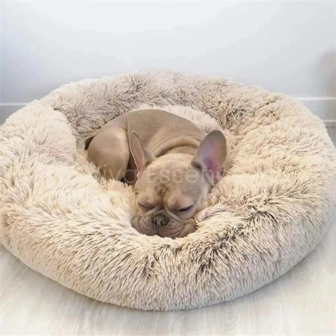 Puppy curled inside a plush faux-fur donut pet bed