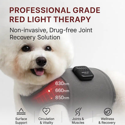 Soothing Red Light Pet Wrap for Joint Support - -Viva Essence Pet