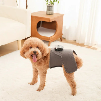 Soothing Red Light Pet Wrap for Joint Support - -Viva Essence Pet