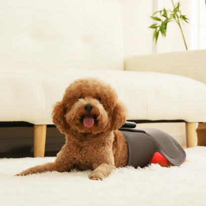 Soothing Red Light Pet Wrap for Joint Support - -Viva Essence Pet