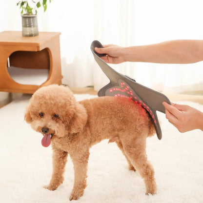 Soothing Red Light Pet Wrap for Joint Support - -Viva Essence Pet