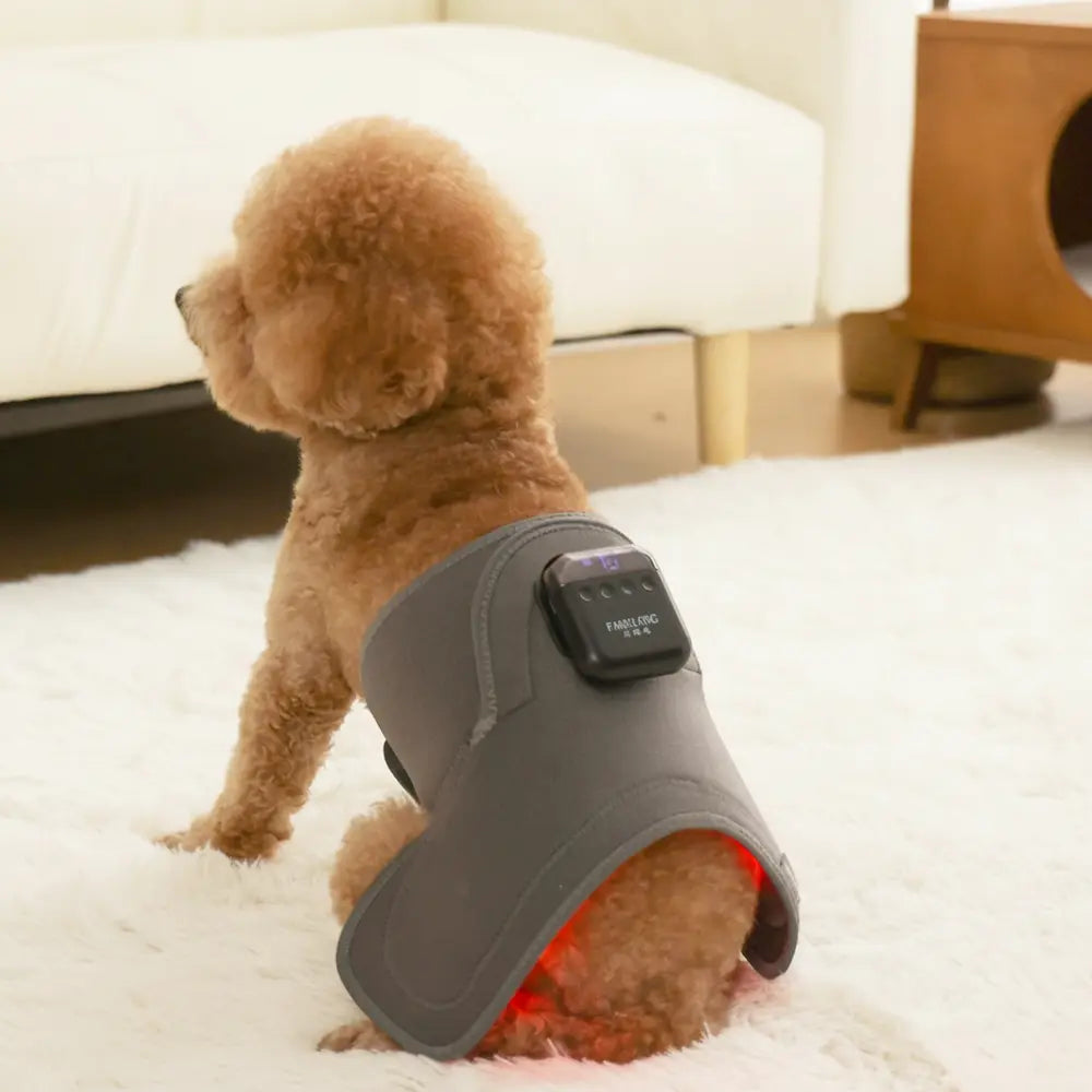 Soothing Red Light Pet Wrap for Joint Support - -Viva Essence Pet
