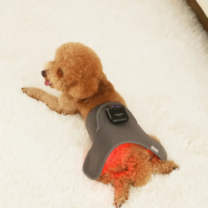 Soothing Red Light Pet Wrap for Joint Support - -Viva Essence Pet