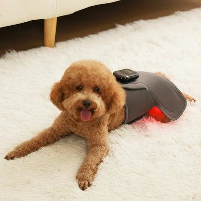 Soothing Red Light Pet Wrap for Joint Support - -Viva Essence Pet