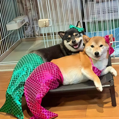 Sparkling Bikini Mermaid Pet Costume - Viva Essence