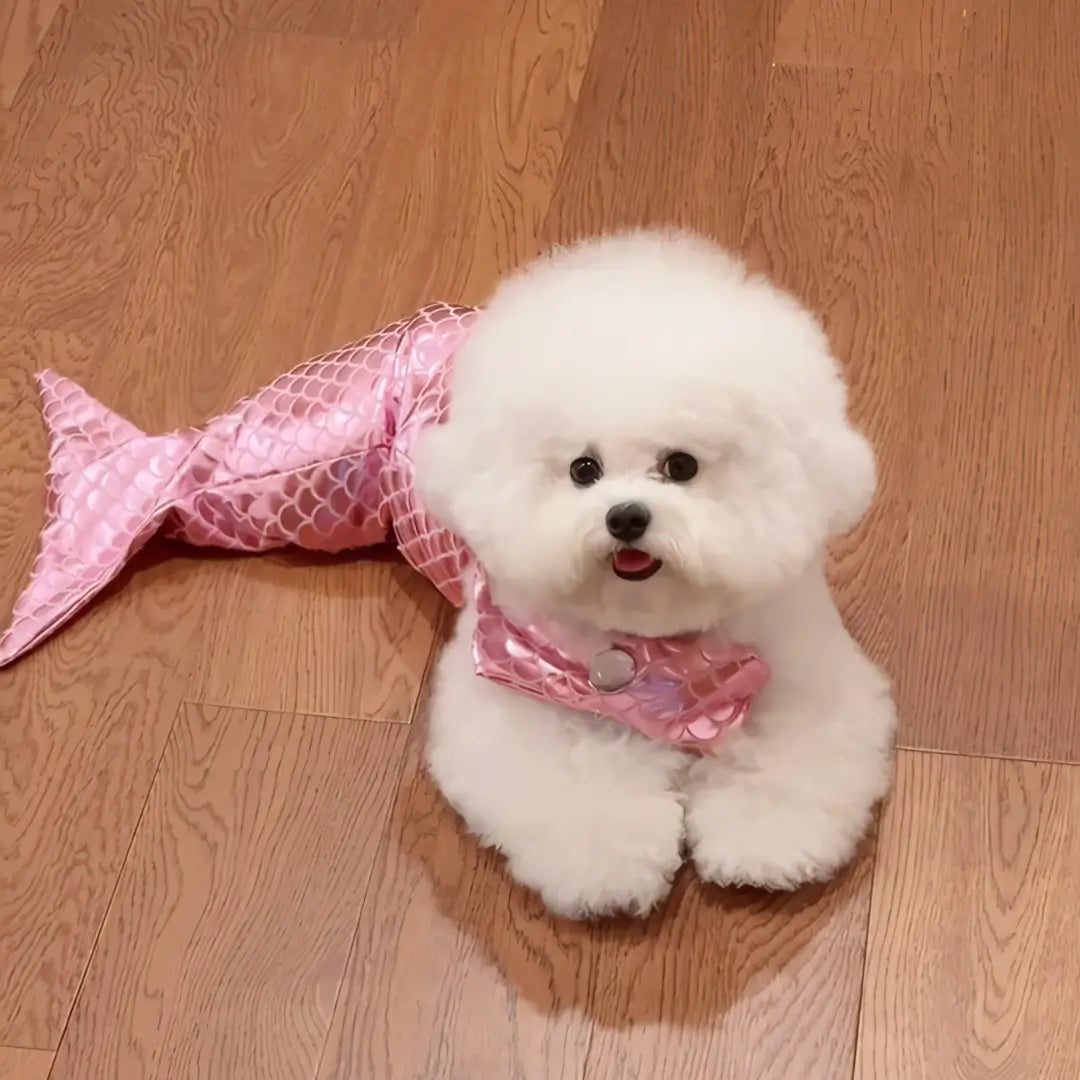 Sparkling Bikini Mermaid Pet Costume - Viva Essence