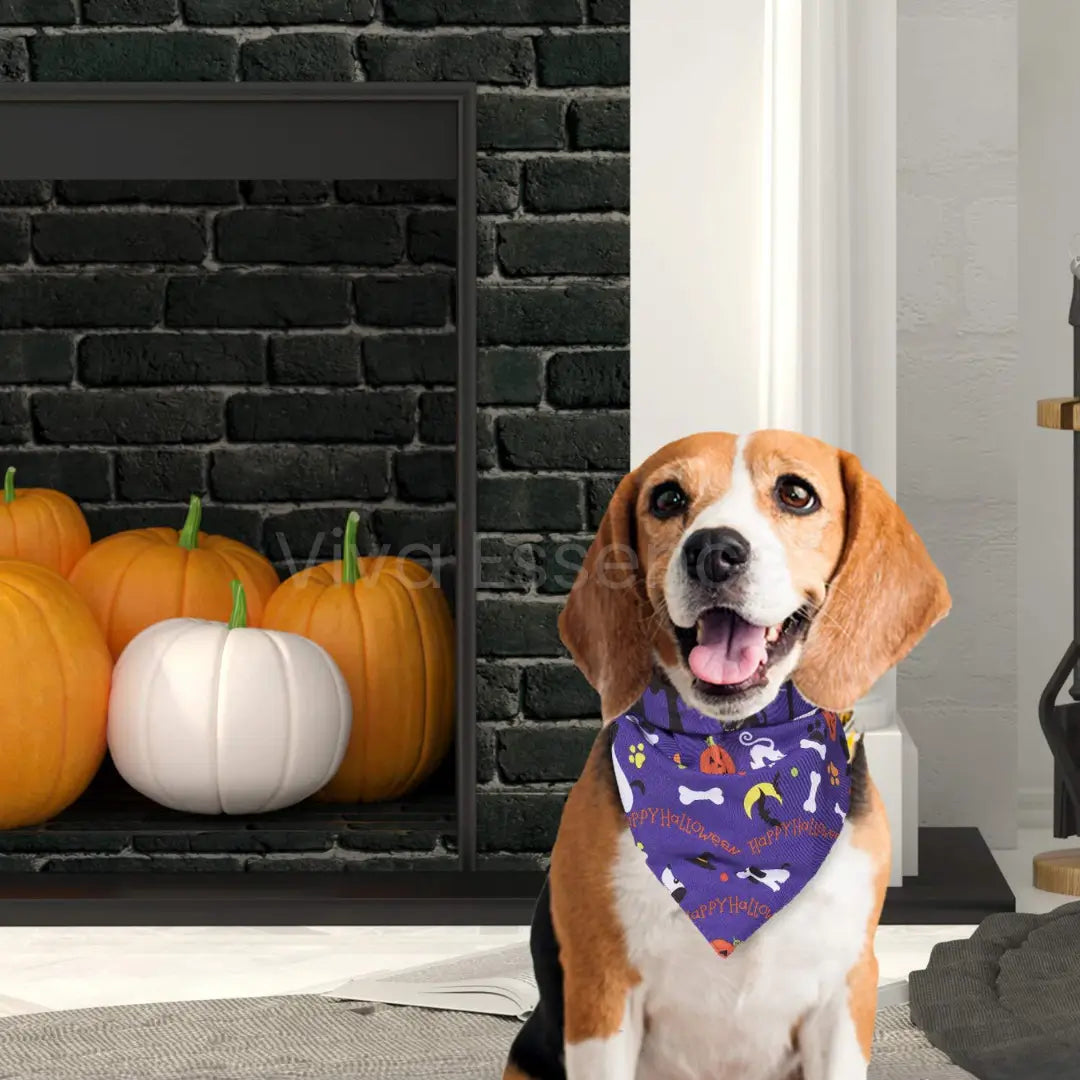 Spooky Cute Halloween Dog Bandana - Soft & Washable - Viva Essence