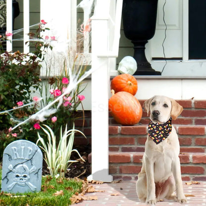 Spooky Cute Halloween Dog Bandana - Soft & Washable - Viva Essence