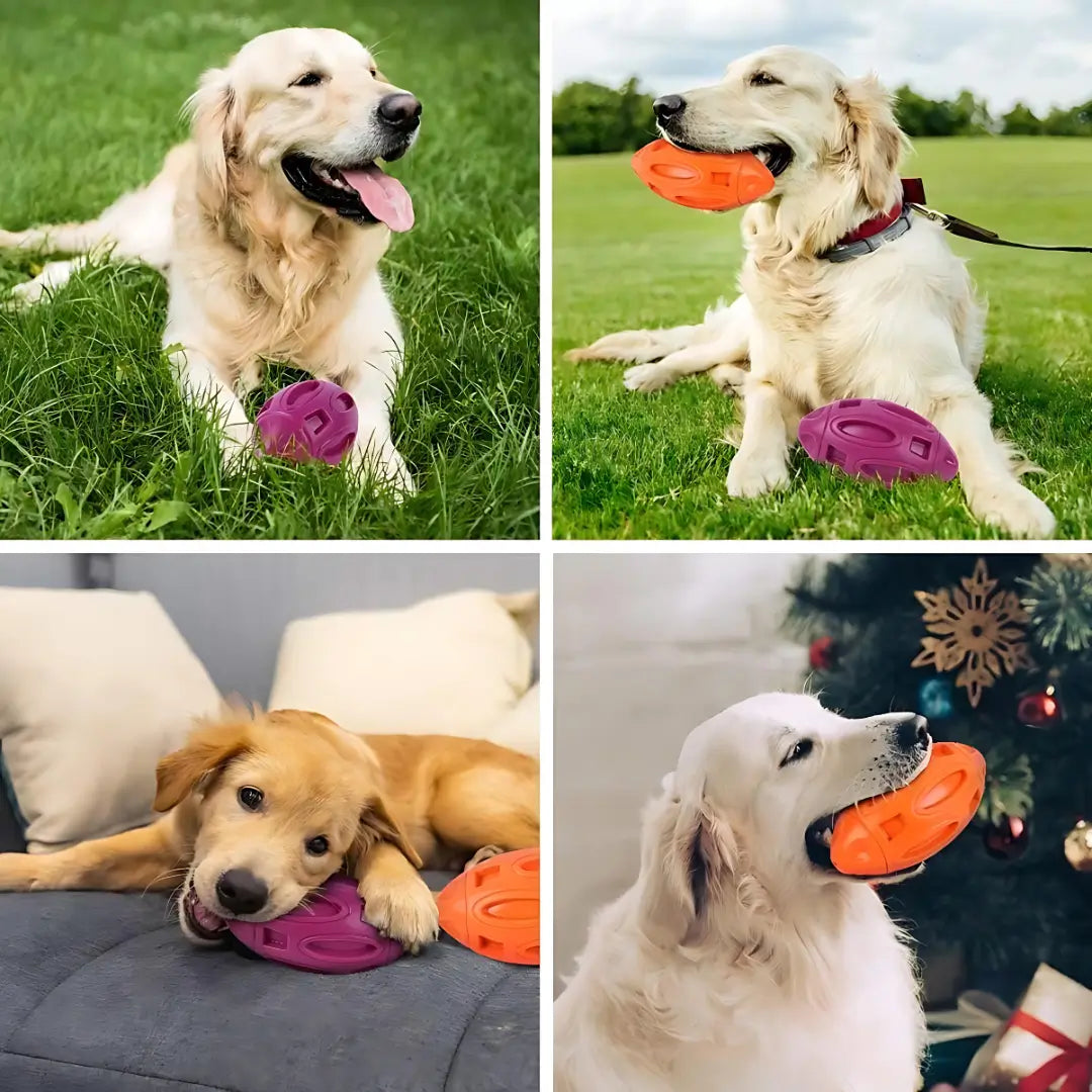 Durable Squeaky Dog Toy for Aggressive Chewers - Viva Essence