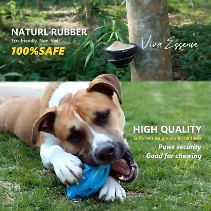 Durable Squeaky Dog Toy for Aggressive Chewers - Viva Essence