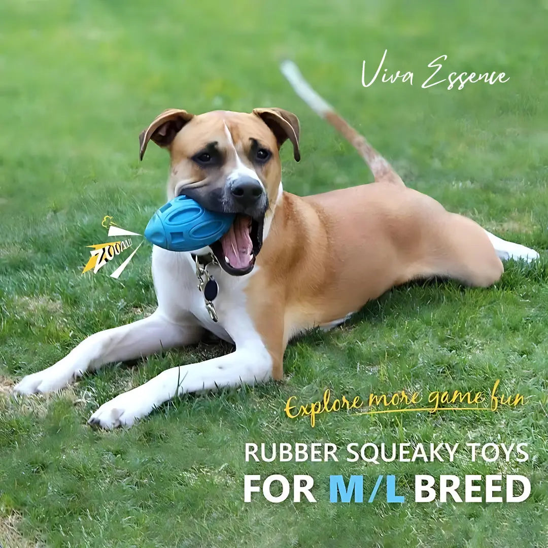 Durable Squeaky Dog Toy for Aggressive Chewers - Viva Essence