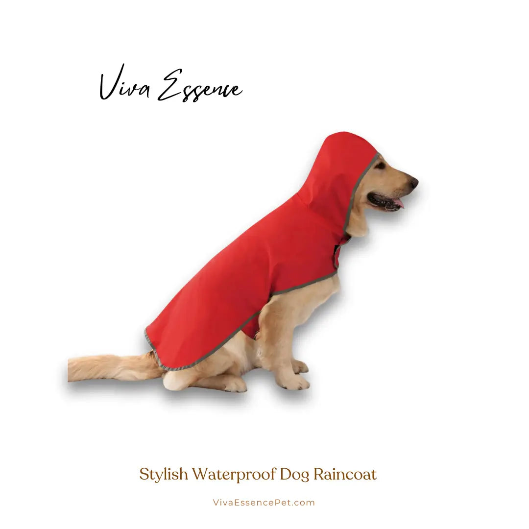 Viva Raincoat på en hund, en vattentät hundkappa som ser till att ditt husdjur håller sig torrt och stilrent - vivaessencepet