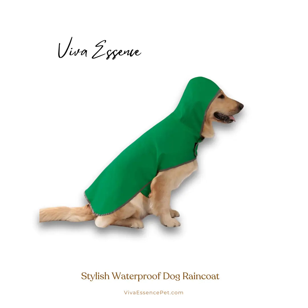 Stylish Waterproof Dog Raincoat with Reflective Trim - Green Viva Essence