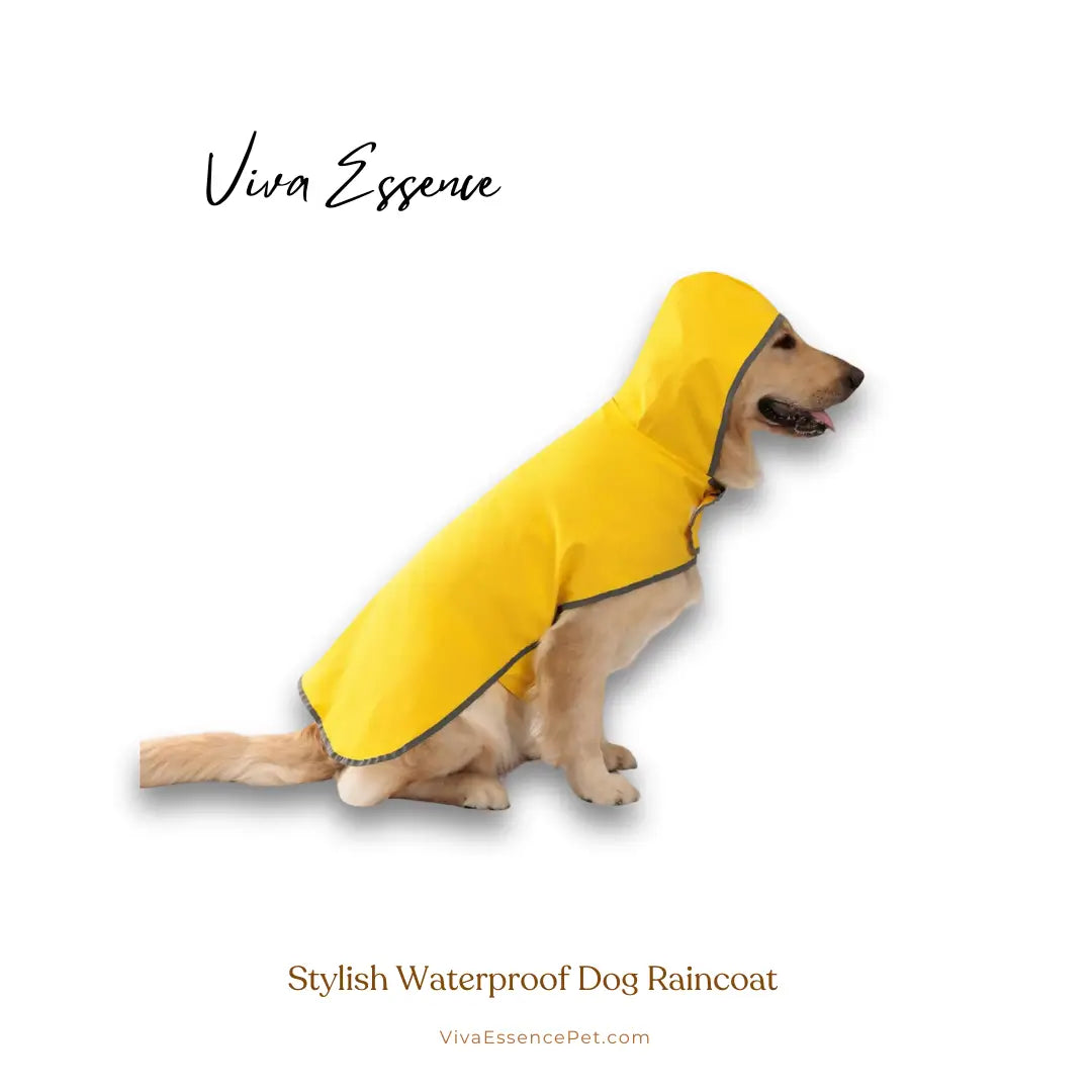 Stylish Waterproof Dog Raincoat with Reflective Trim - Yellow Viva Essence