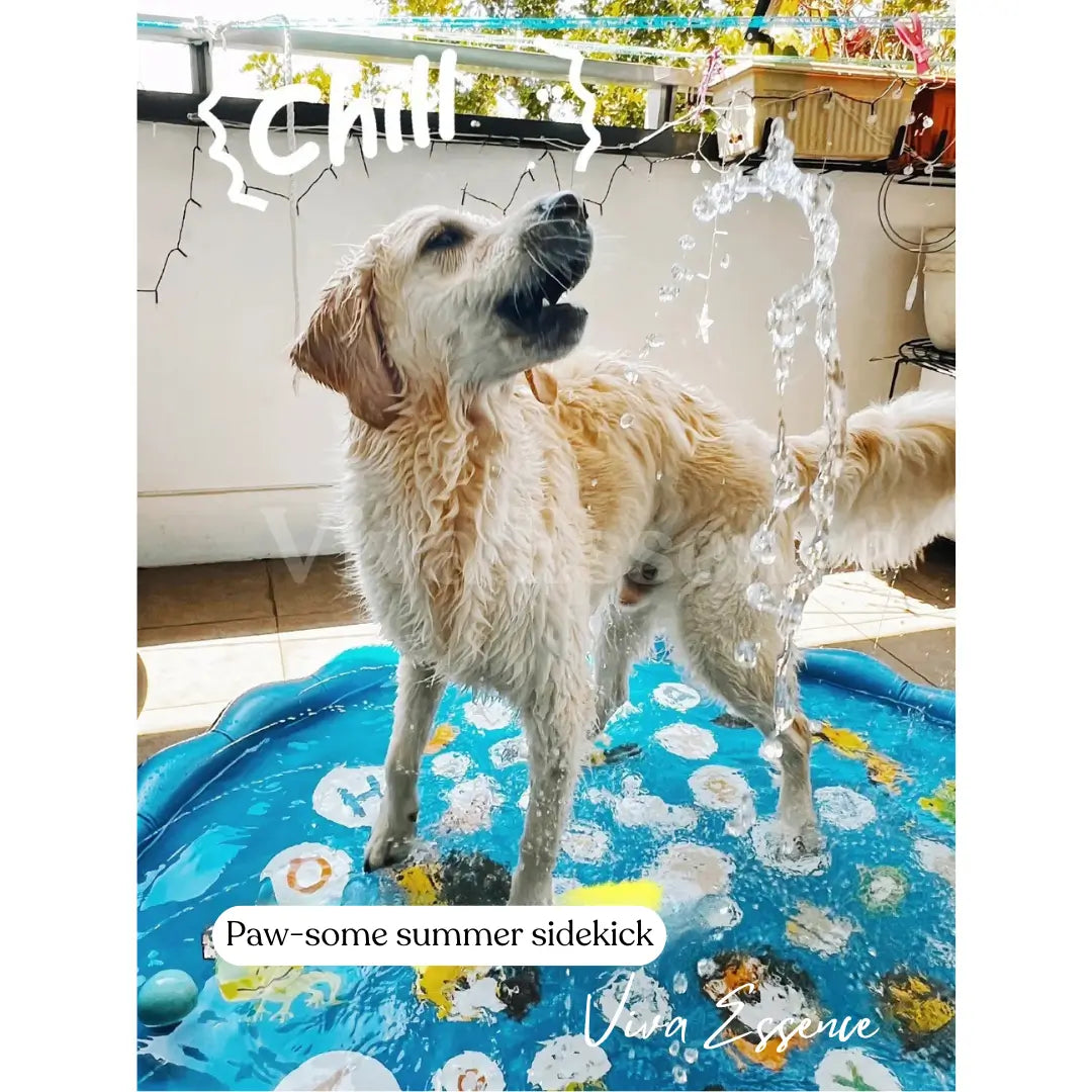 Durable PVC dog sprinkler mat built for normal paw play outdoors - vivaessencepet