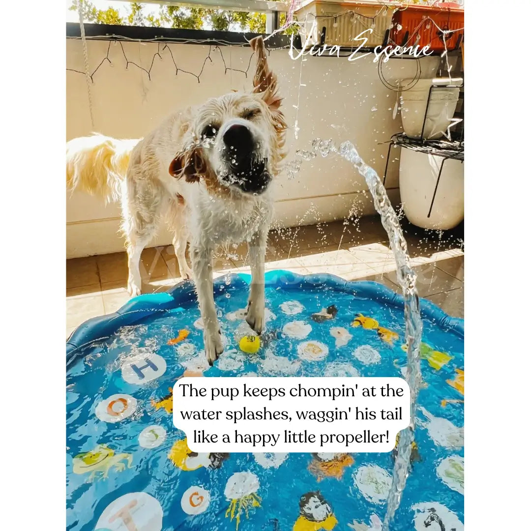 Children and dogs enjoying supervised shallow splash play in summer - vivaessencepet