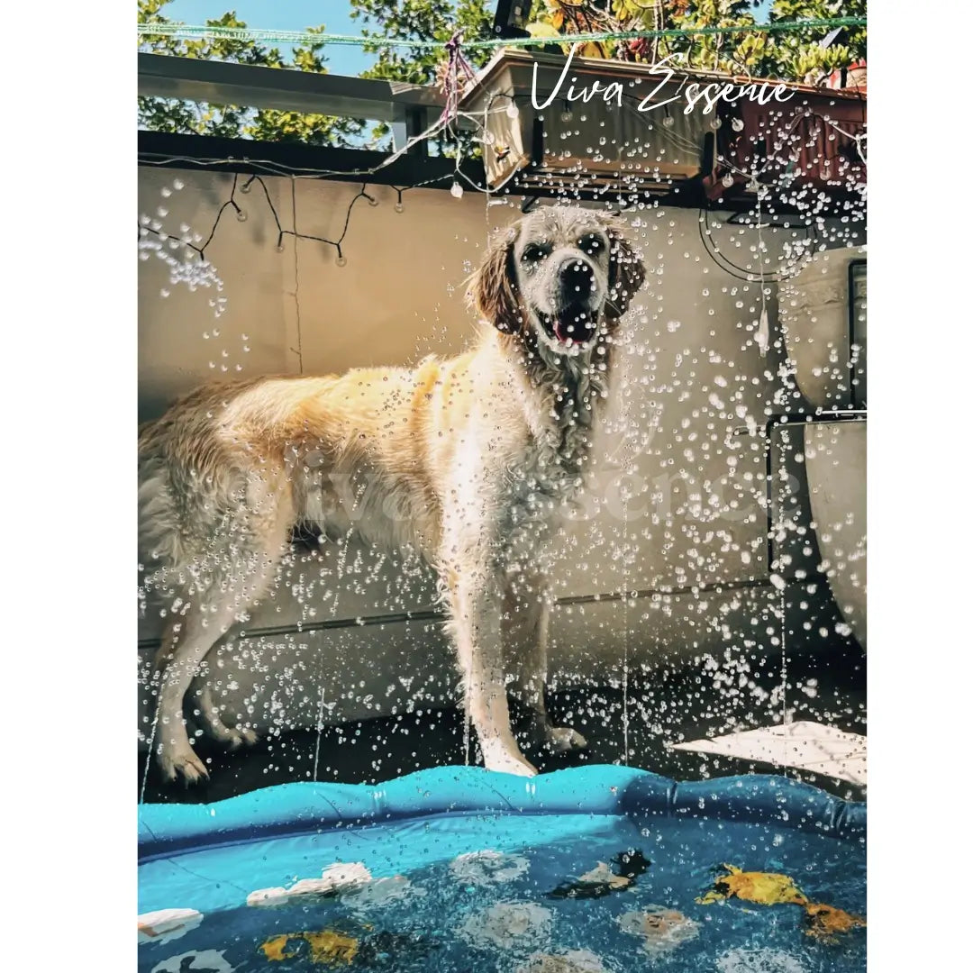 Viva Summer Pool Sprinkler for dogs - Ultimate Cooling Playground - Viva Essence