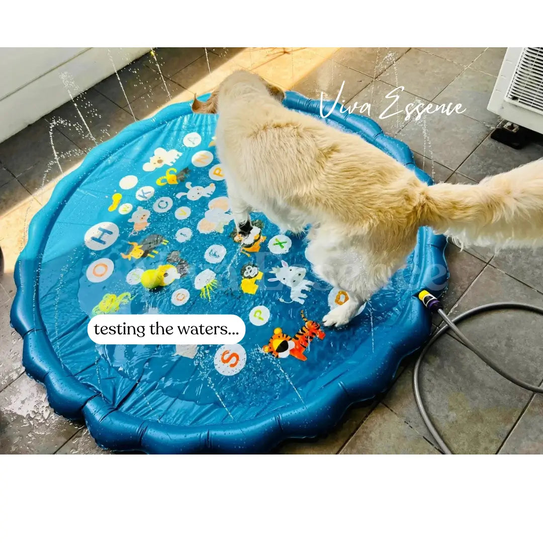 Viva Summer Pool Sprinkler for dogs - Ultimate Cooling Playground - Viva Essence