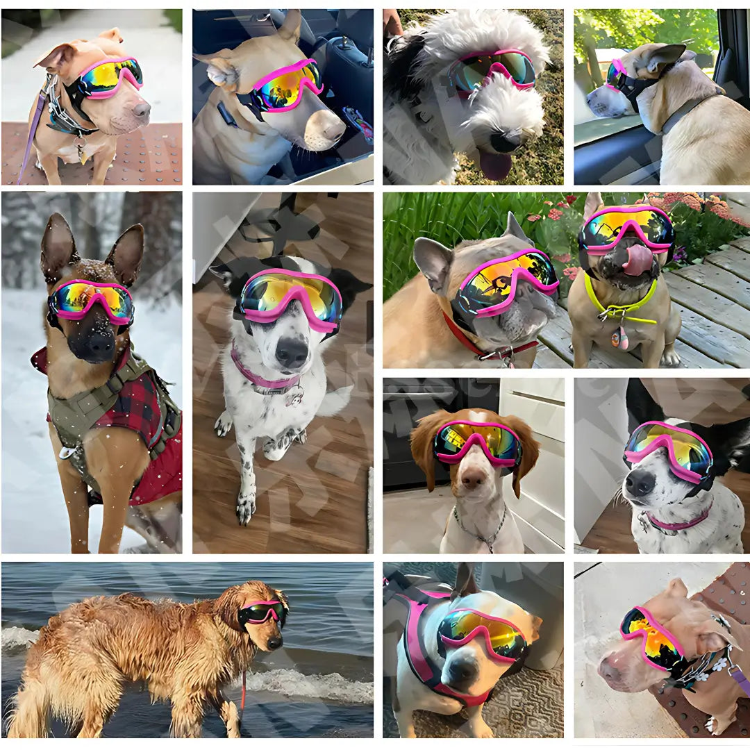 Gafas protectoras para perros de playa que mantienen fuera la arena y el fuerte resplandor del sol durante el juego al aire libre - vivaessencepet