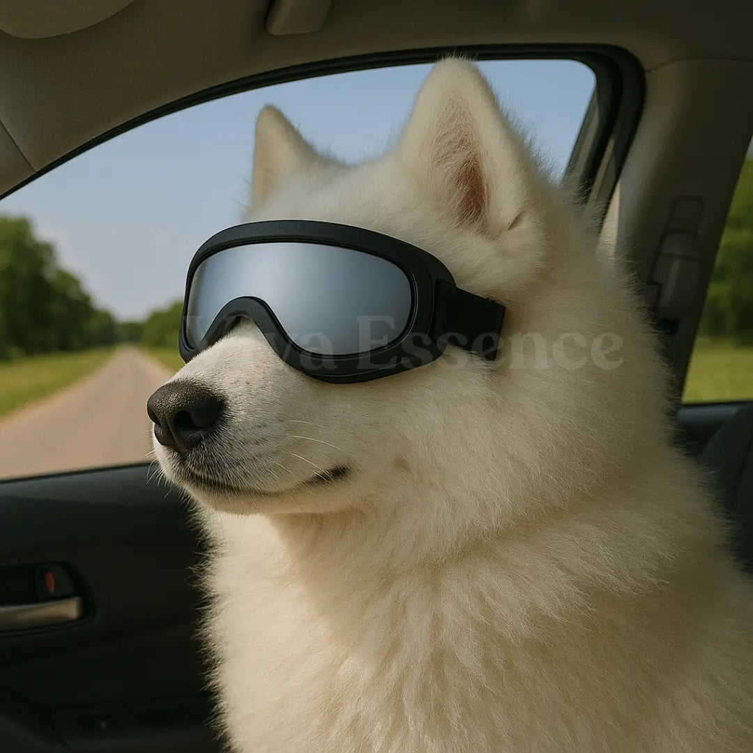 Anti-fog dog snow goggles for large breeds, blocking ice glare on snowy mountain walks - vivaessencepet
