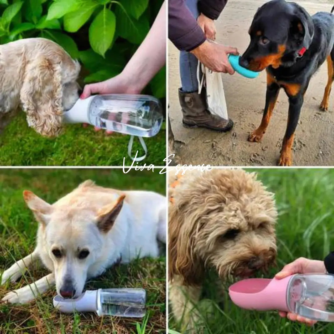 Ultimate Pet Water and Feeding Bottle - Viva Essence