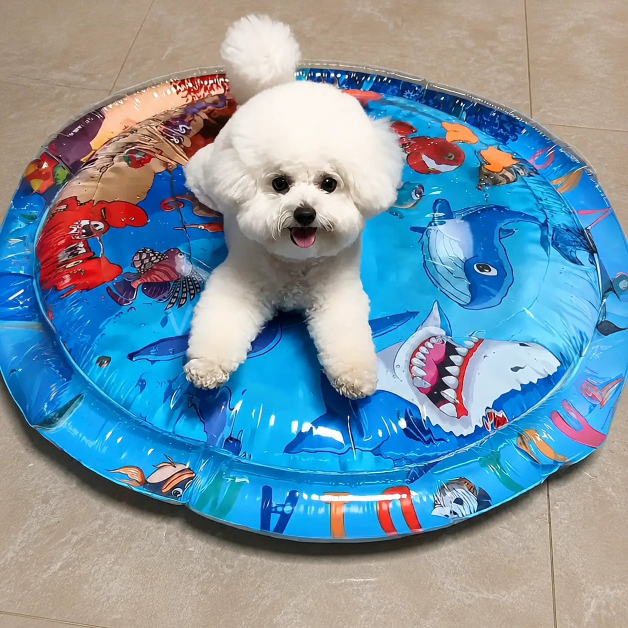 Small white dog resting on the Regular blue cooling water bed