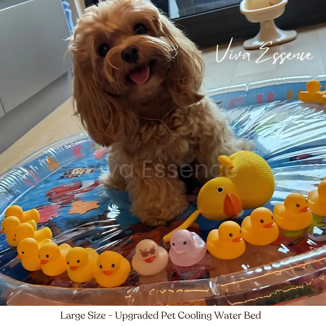 [Special Sale] Upgraded Thickness Pet Cooling Water Bed - Large Size Viva Essence