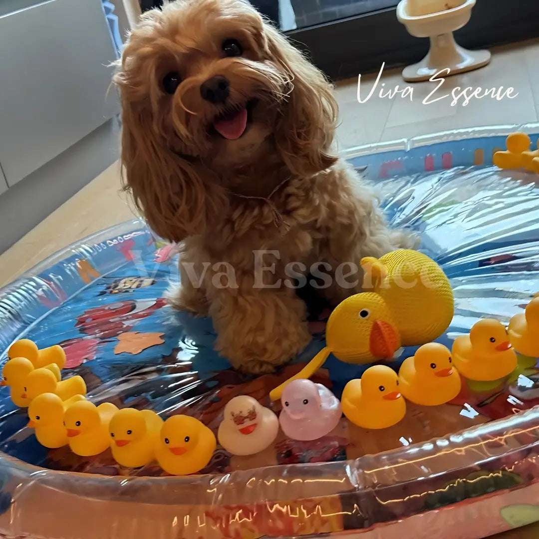 Extra-thick water-filled cooling bed option for dogs and cats that paw or nest before resting - vivaessencepet