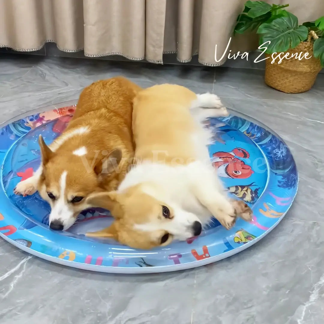 Foldable portable pet cooling water bed for travel and supervised outdoor lounging - vivaessencepet