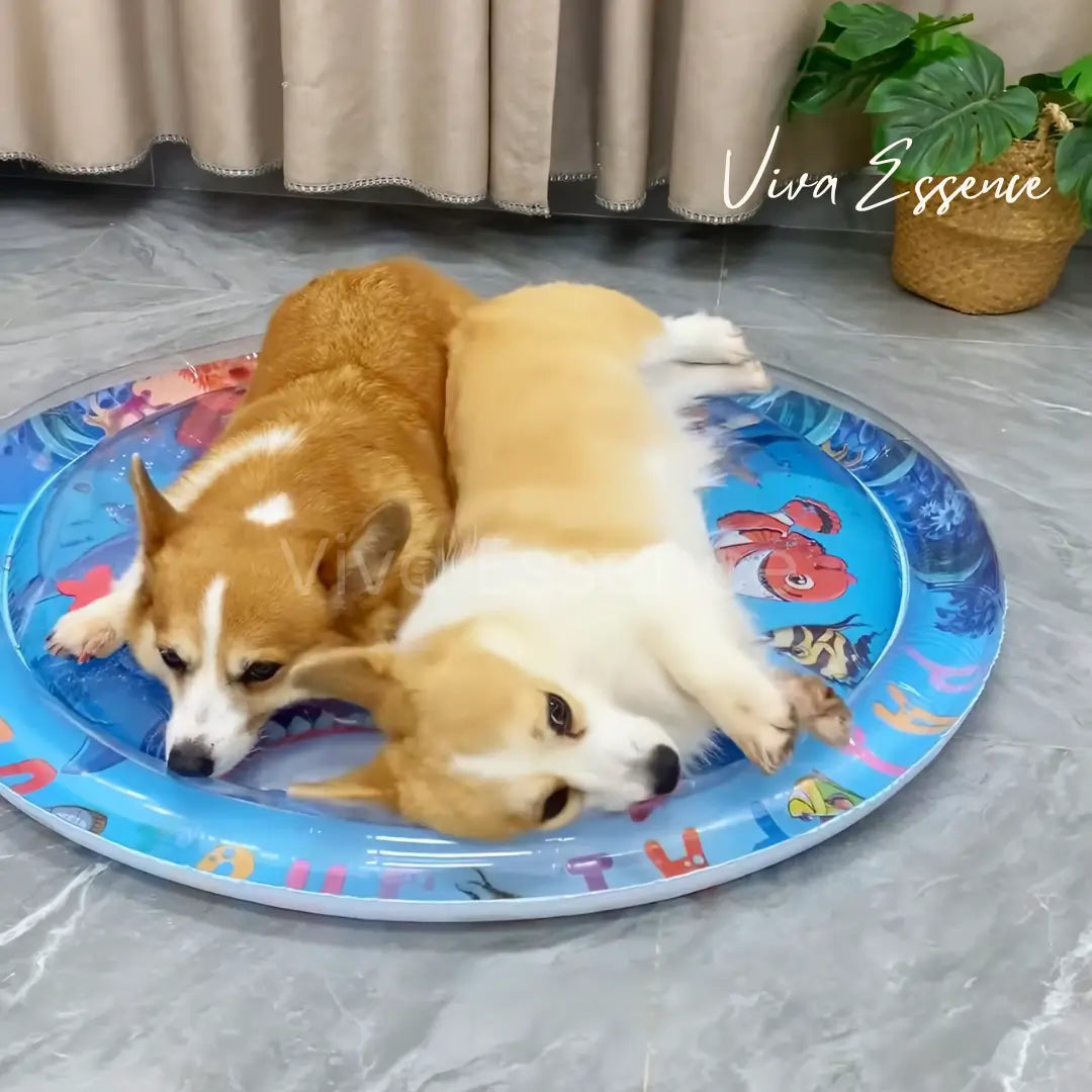 Portable pet cooling water bed that drains and stores flat for seasonal home use - vivaessencepet