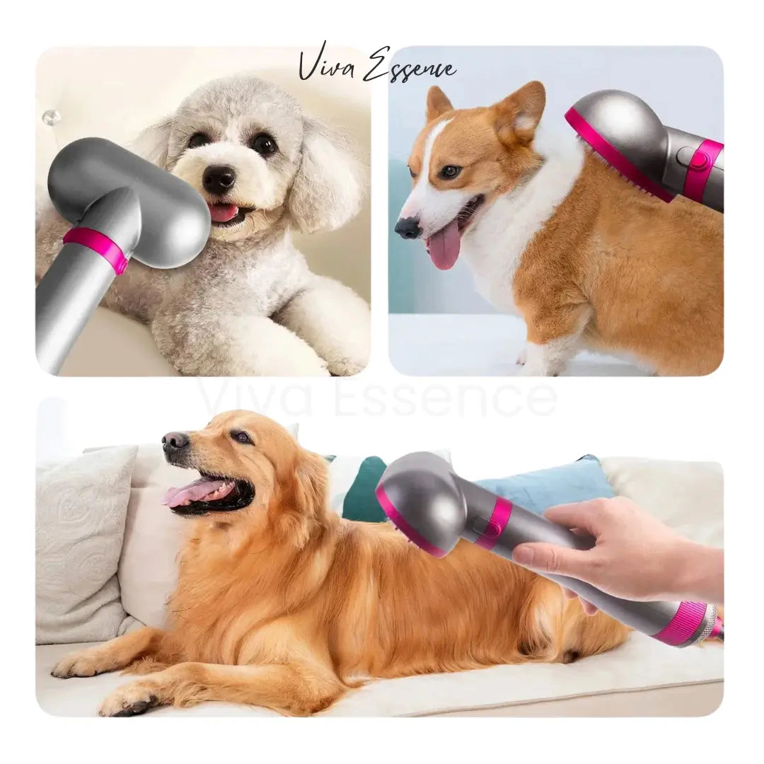 3. Gato calmo a desfrutar do secador de pelo suave PetPulse para gatos, com as suas definições de ar quente reconfortante - vivaessencepet