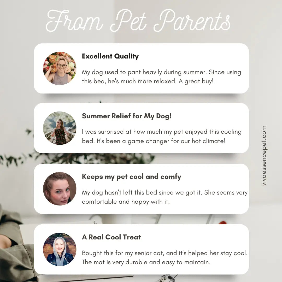 Trusted by Pet Parents